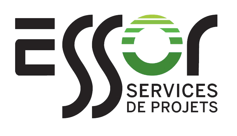 Logo de Gestion Essor en construction